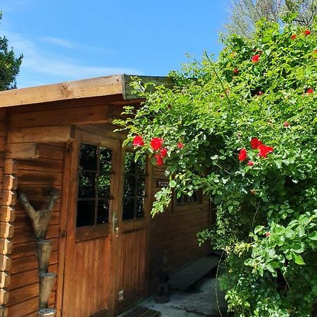 La Cabane Du Pesquier En Provence Caumont-sur-Durance 외부 사진