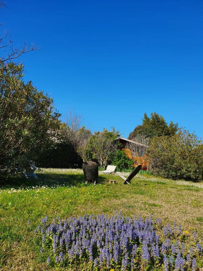 La Cabane Du Pesquier En Provence Caumont-sur-Durance 외부 사진