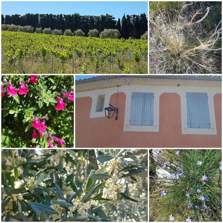 La Cabane Du Pesquier En Provence Caumont-sur-Durance 외부 사진
